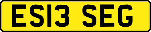 ES13SEG
