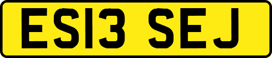 ES13SEJ
