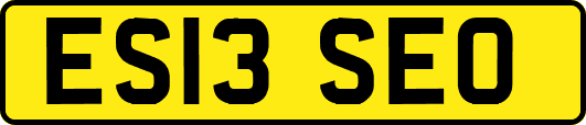 ES13SEO