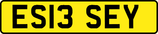 ES13SEY