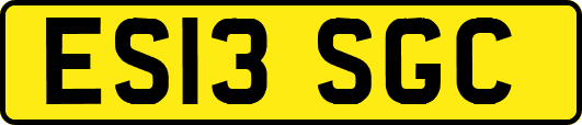 ES13SGC