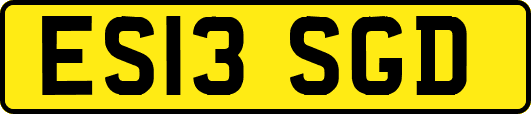 ES13SGD