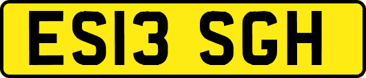 ES13SGH