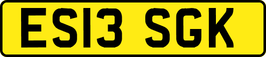 ES13SGK