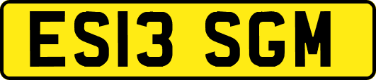 ES13SGM