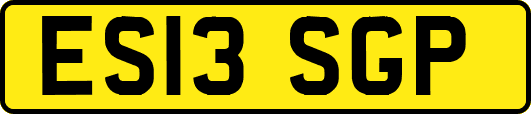 ES13SGP