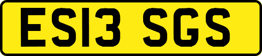 ES13SGS