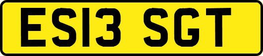 ES13SGT