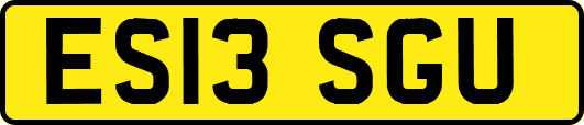 ES13SGU