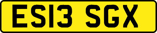 ES13SGX