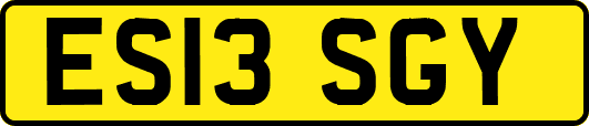 ES13SGY