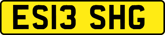 ES13SHG