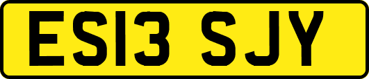 ES13SJY