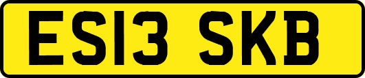 ES13SKB