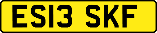 ES13SKF