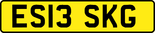 ES13SKG