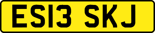 ES13SKJ