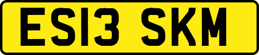 ES13SKM