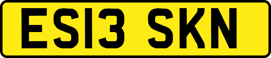 ES13SKN