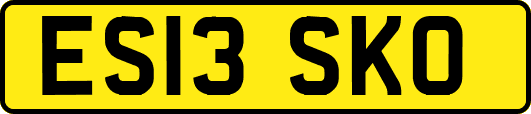 ES13SKO