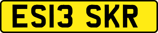ES13SKR