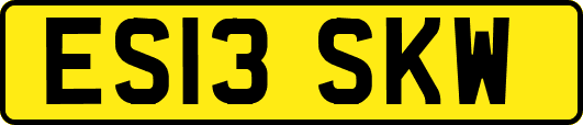 ES13SKW