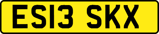 ES13SKX
