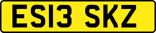 ES13SKZ