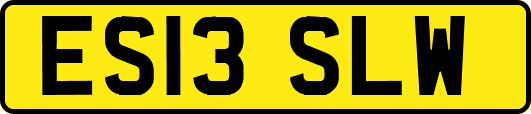 ES13SLW