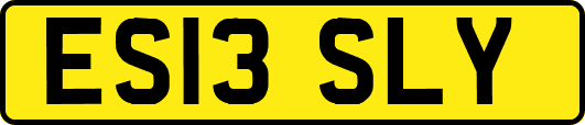 ES13SLY