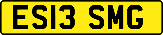 ES13SMG