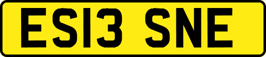 ES13SNE