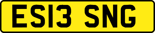 ES13SNG