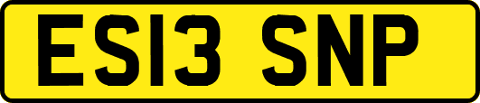 ES13SNP