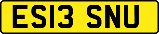 ES13SNU