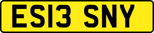 ES13SNY