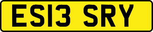 ES13SRY