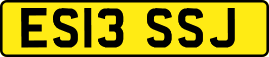 ES13SSJ