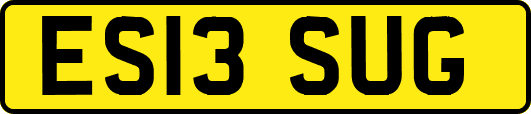 ES13SUG