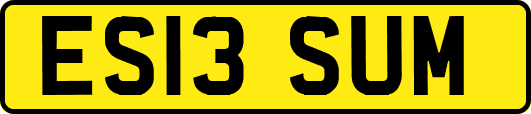 ES13SUM