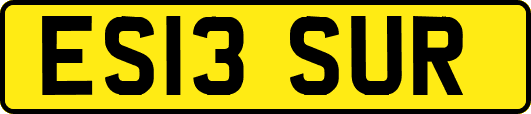 ES13SUR