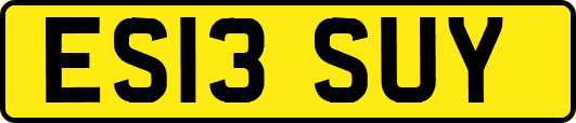 ES13SUY
