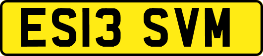 ES13SVM