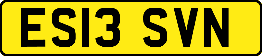 ES13SVN