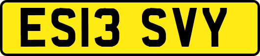 ES13SVY
