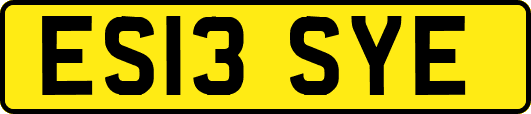 ES13SYE