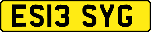 ES13SYG