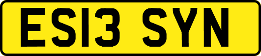 ES13SYN