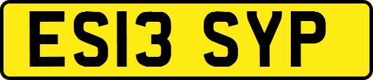 ES13SYP