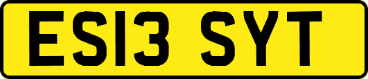 ES13SYT